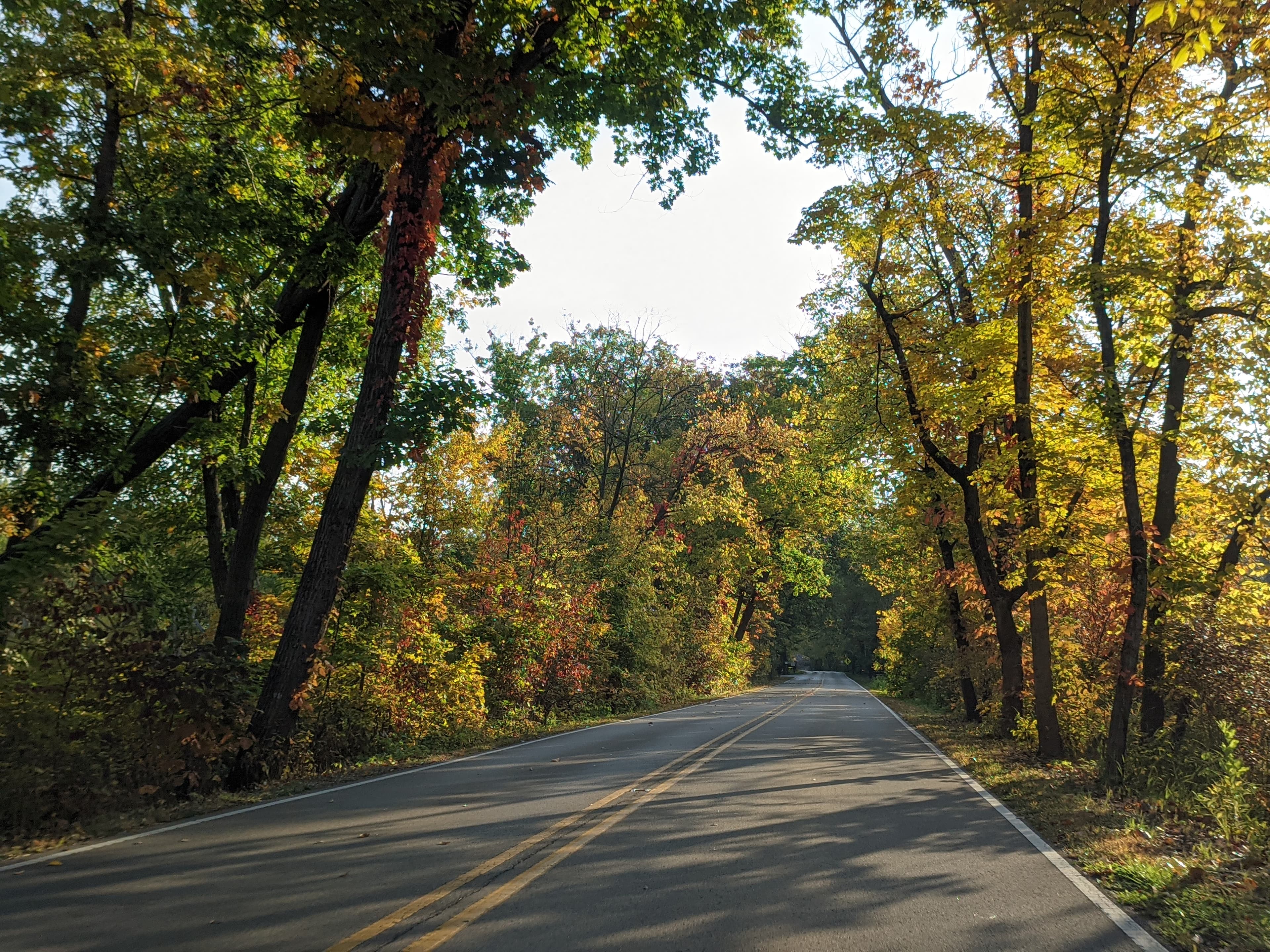 A two-lane road in peak autumn woodland near Starved Rock State Park, Illinois, orange and yellow maple trees arching overhead