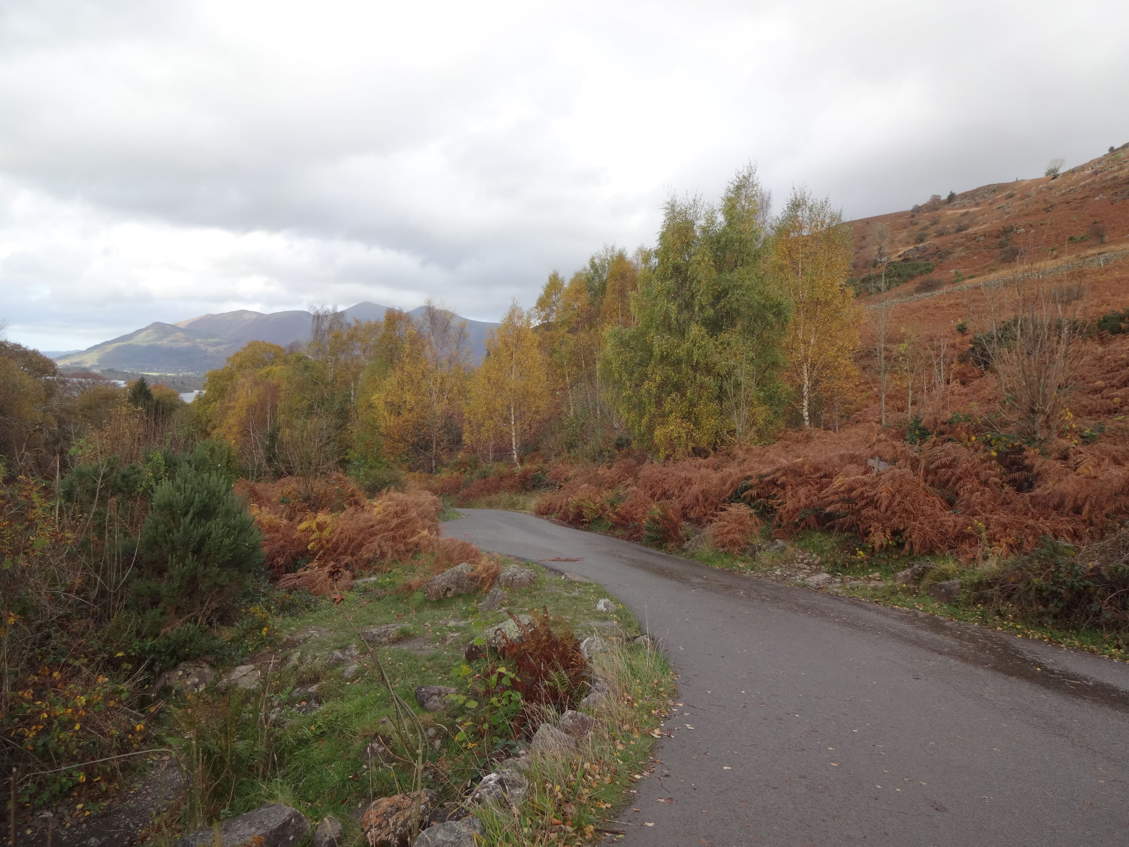 A narrow tarmac road winding through autumn bracken and golden birch trees in the Langdale valley, Lake District, with the fells rising in the mist behind