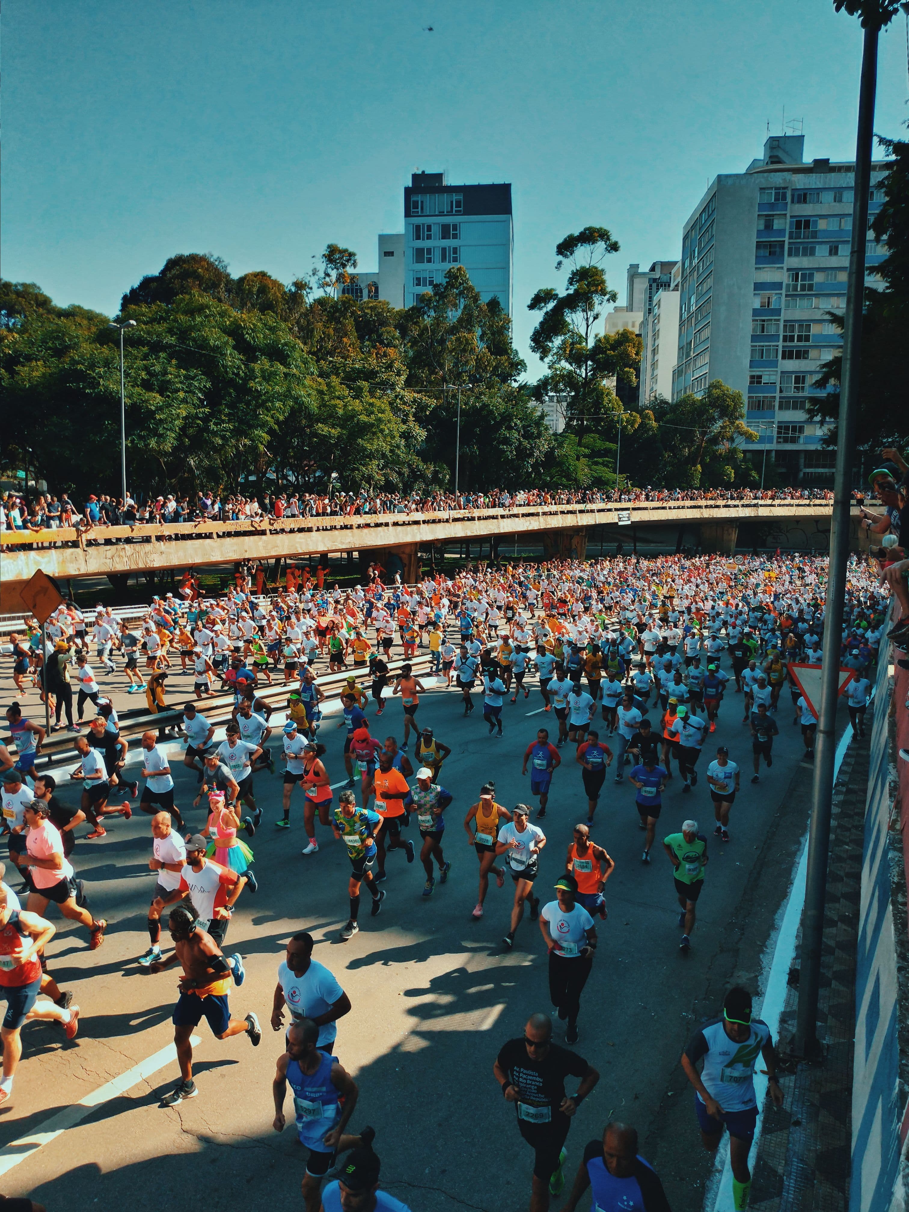 Thousands of runners packed at the start of a major city marathon, filling the road from kerb to kerb